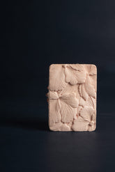 Rice Enzyme with Goat Milk