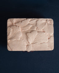 Rice Enzyme with Goat Milk
