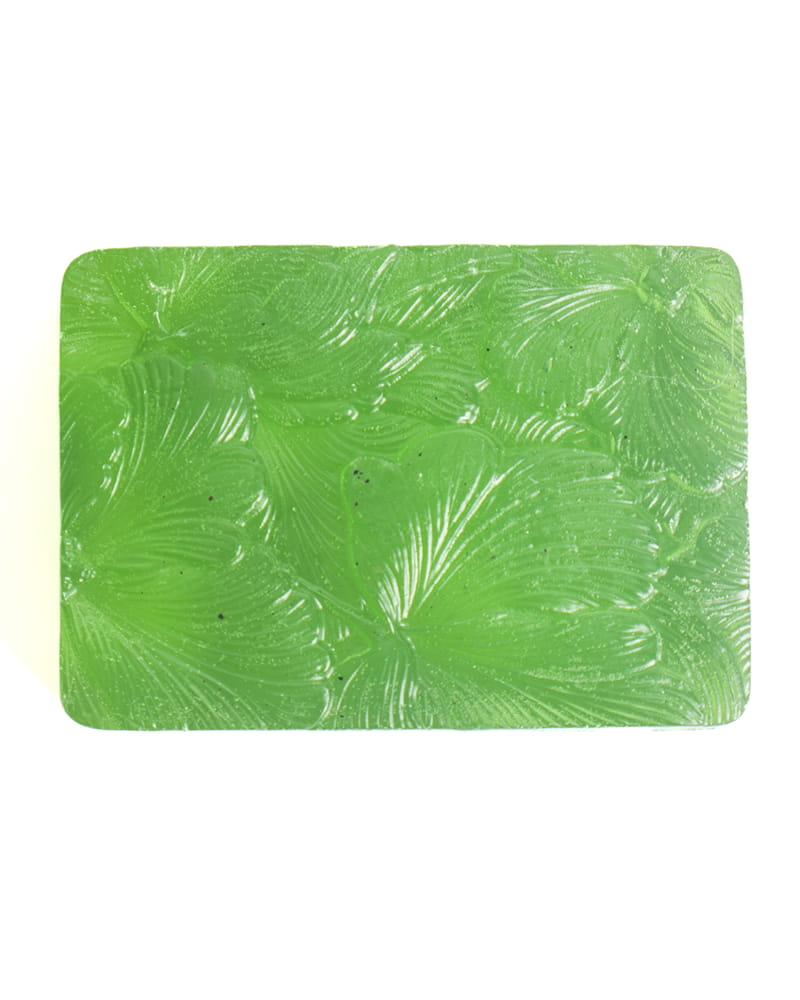 Neem and Kojic Acid