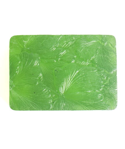 Neem and Kojic Acid